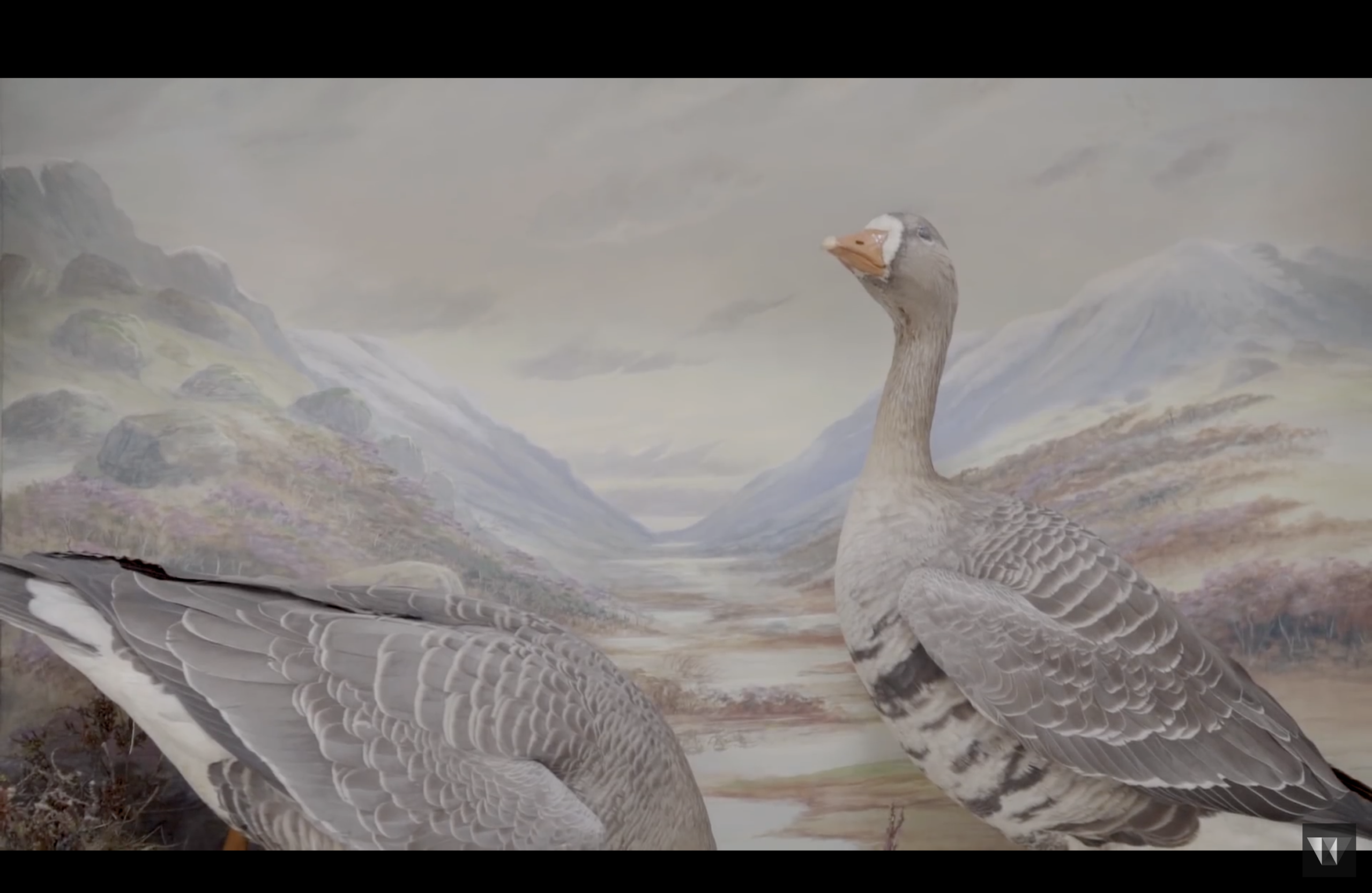 Capture d’écran 2026-03-04 à 16.06.10